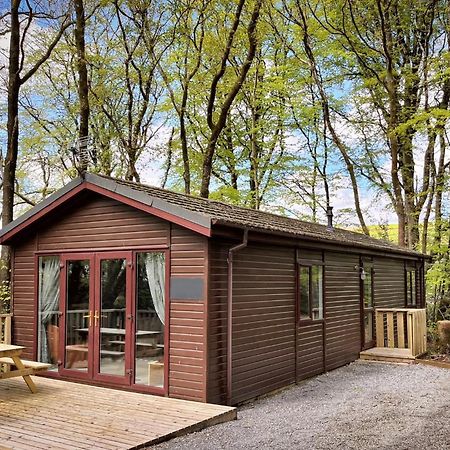 Woodland View -Hot Tub-Tenby-Carmarthen-St Clears Esterno foto